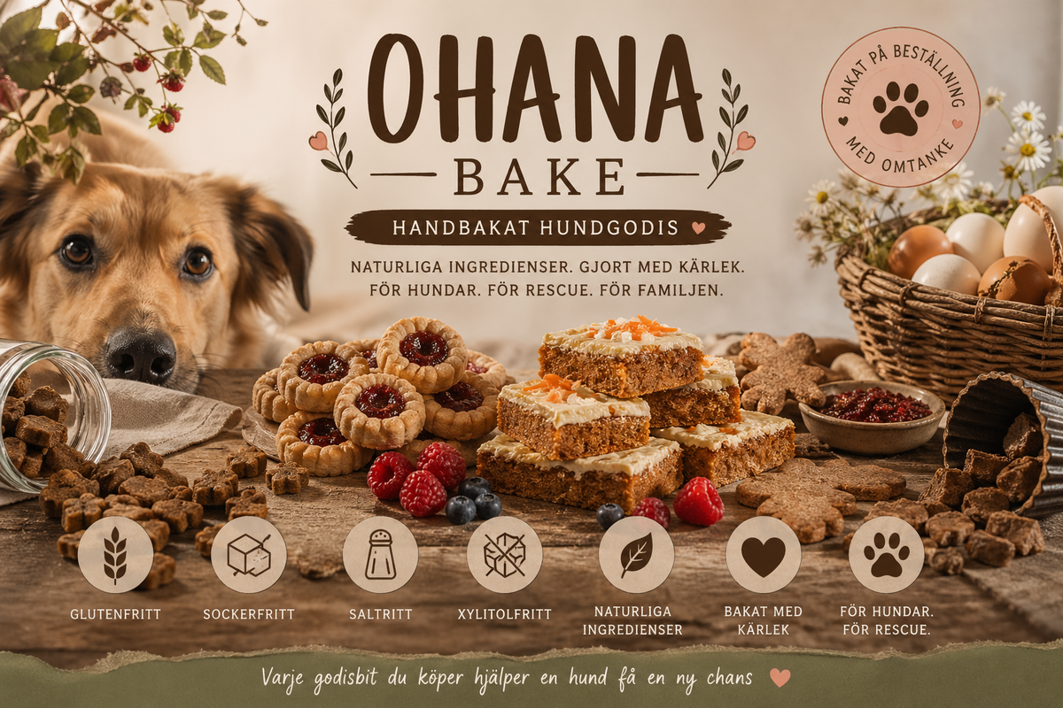 Hundkakor från Ohana Bake