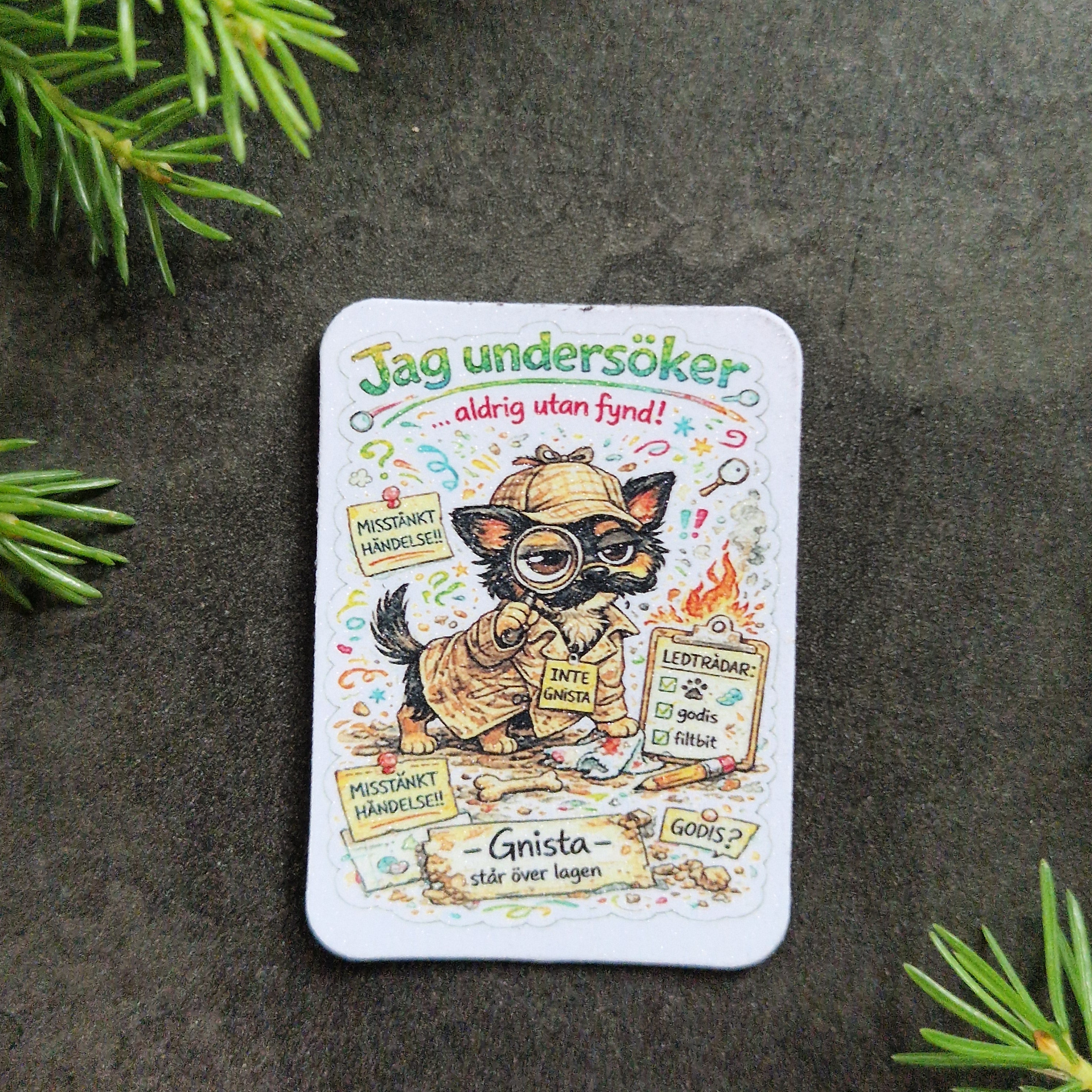 Gnista magnet med texten Jag undersöker aldrig utan fynd