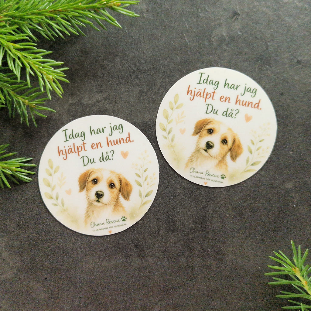 Två små runda Ohana Rescue-magneter med hundmotiv och texten Idag har jag hjälpt en hund. Du då?